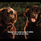 Image for article titled I Watched the Only Rom Com I Refused to Watch